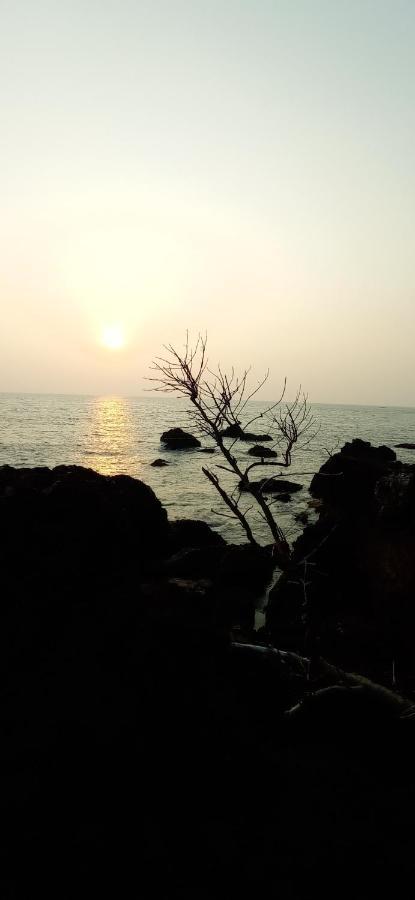 坎努尔Perch By The Sea住宿加早餐旅馆 外观 照片